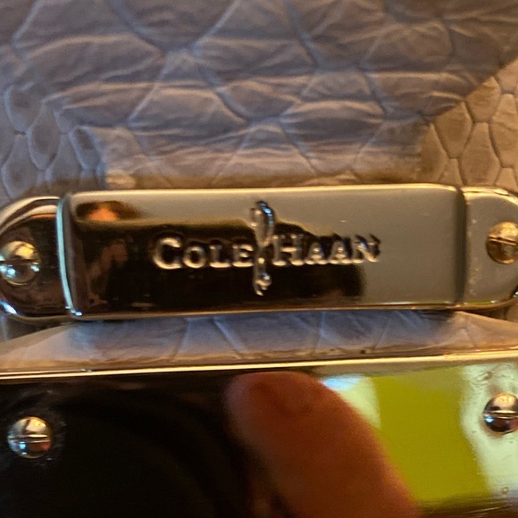 EUC Cole Haan Perry Street Casey Ivory Python Drawstring Hobo - Picture 5 of 11